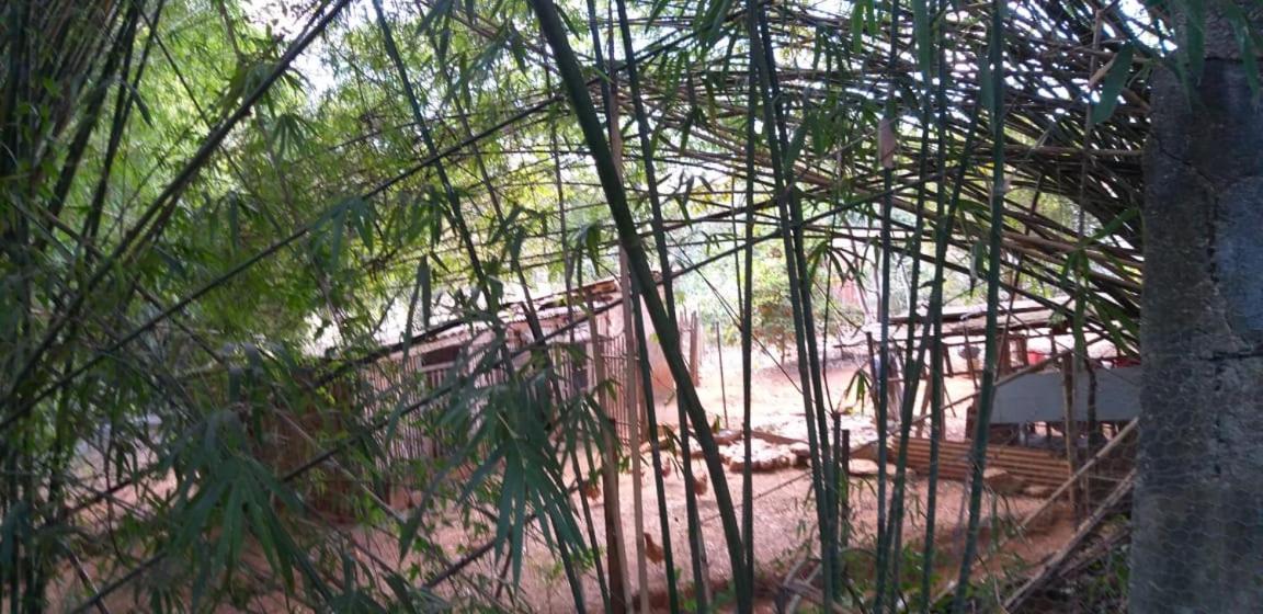 Pousada Sirius São Roque de Minas Zewnętrze zdjęcie